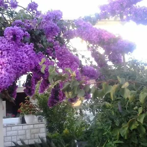 https://apartman-branka-rab-island.primorje-gorskikotar.com